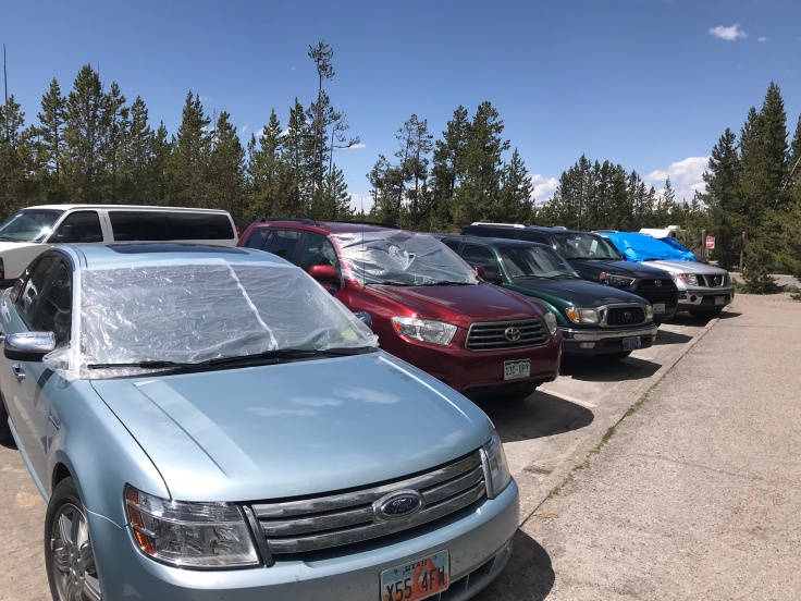 Plastic tarps to protect windshields from ash aftermath