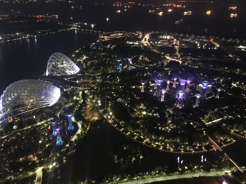 View of Gardens by the Bay light show