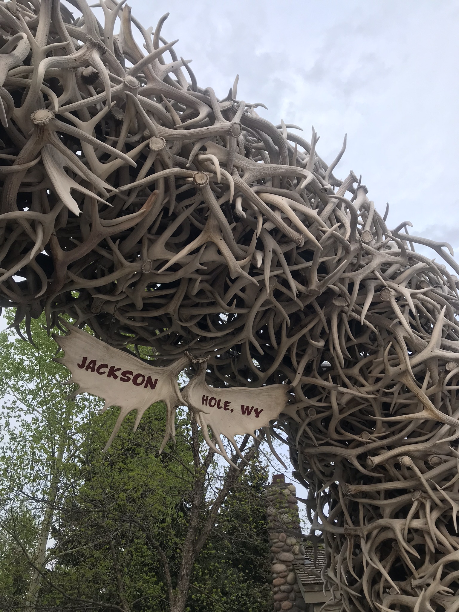 Antler Arch in Jackson, WY